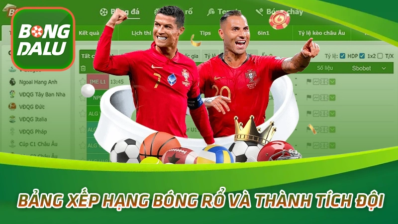 Bảng xếp hạng bóng rổ và thành tích đội