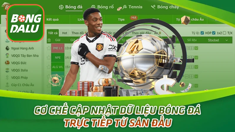 Cơ chế cập nhật dữ liệu bóng đá trực tiếp từ sân đấu