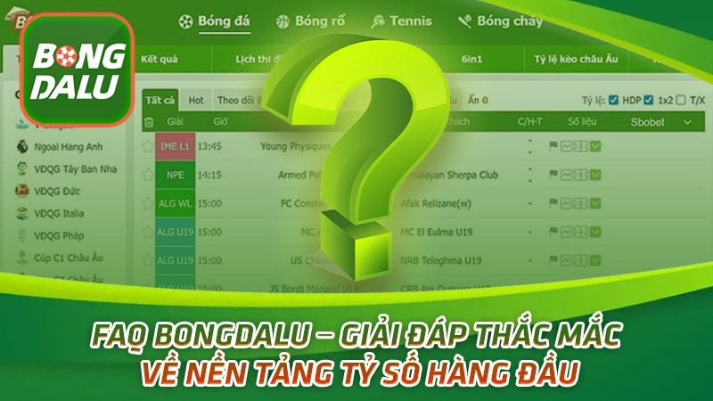 FAQ Bongdalu – giải đáp thắc mắc về nền tảng tỷ số hàng đầu