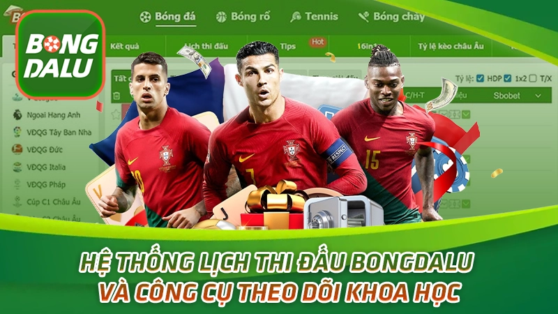 Hệ thống lịch thi đấu Bongdalu và công cụ theo dõi khoa học