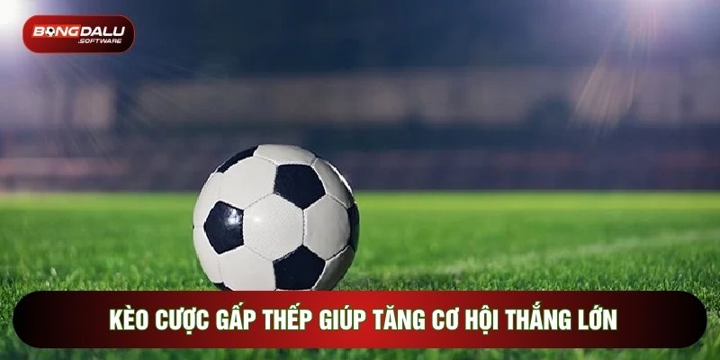 Kèo cược gấp thếp giúp tăng cơ hội thắng lớn