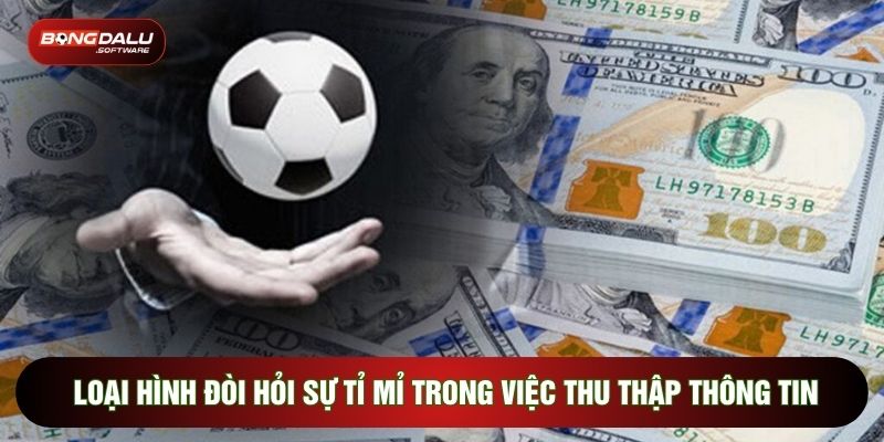 Loại hình đòi hỏi sự tỉ mỉ trong việc thu thập thông tin
