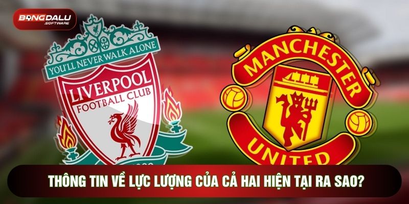 Thông tin về lực lượng của cả hai hiện tại ra sao?