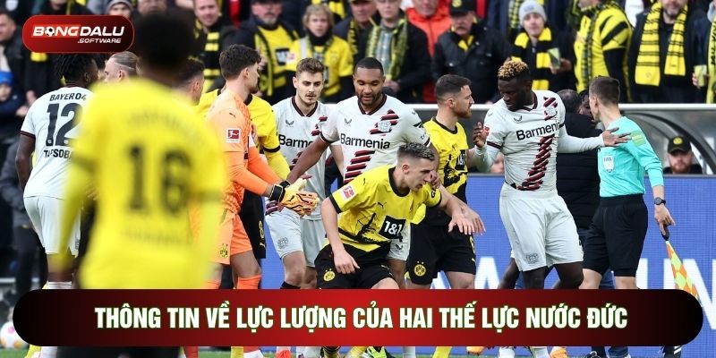 Thông tin về lực lượng của hai thế lực nước Đức
