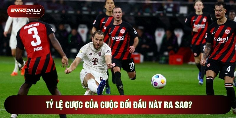 Tỷ lệ cược của cuộc đối đầu này ra sao?